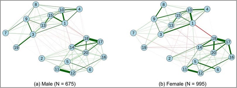 Estimated network of depressive in males and females participants.