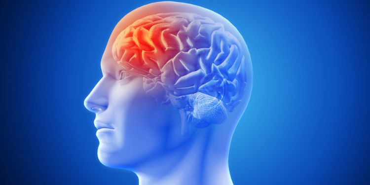 Journal of Otolaryngology Advances - Temporalis Fascia