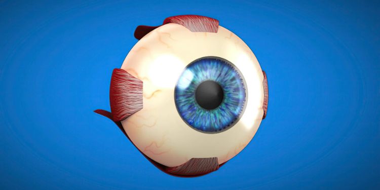 Journal of Ophthalmic Science - Conjunctival Resection